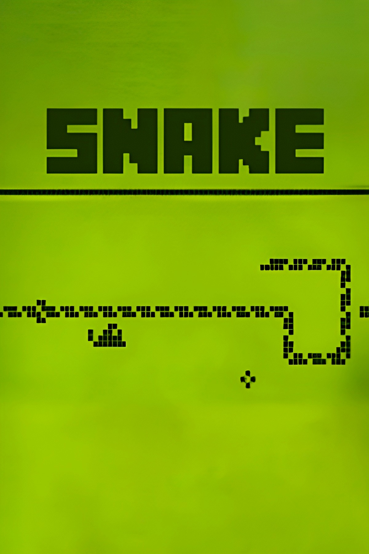 Snake